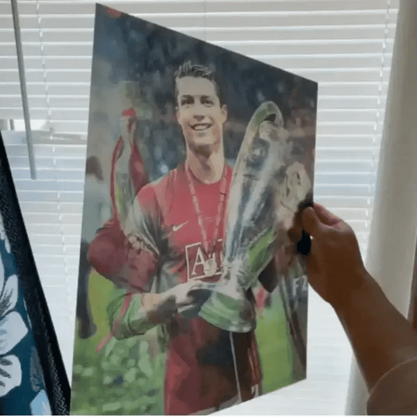 Corsatu™ GOAT 3D Posters